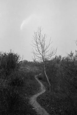 AFGA Isolette II 6X6 Medium Format Folding Film Camera With 75mm F3.5 Lens.