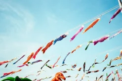 Bell & Howell 28mm f/2.8 Camera Lens