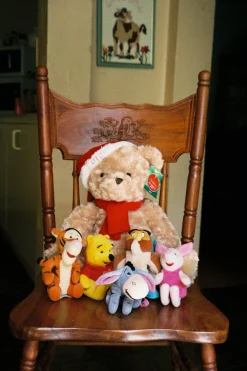 BRAND NEW - Olympus Mju III Wide 100 35mm Film Camera Point and Shoot