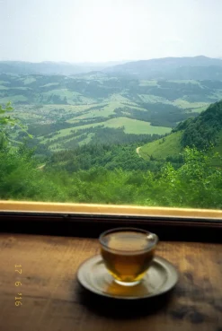 BRAND NEW - Olympus Mju III Zoom 120 35mm Film Camera Point and Shoot