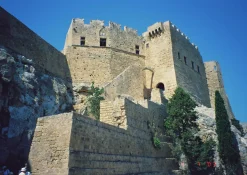 BRAND NEW - Olympus Shoot & Go R 35mm Film Camera Point and Shoot