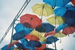 BRAND NEW - Pentax Espio 115 / IQZoom 115 35mm Film Camera Point and Shoot