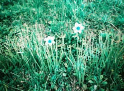 Bronica ETRS With AE II Prism and 75mm F2.8 Lens. 6X4.5 Medium Format Film Camera