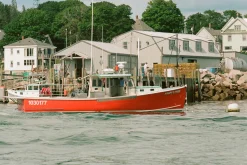 Canon A-1 Vintage SLR 35mm Film Camera with f/1.8 50mm Prime Lens