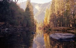 Canon AE-1 Program BLACK 35mm SLR Film Camera with Canon Prime Lens