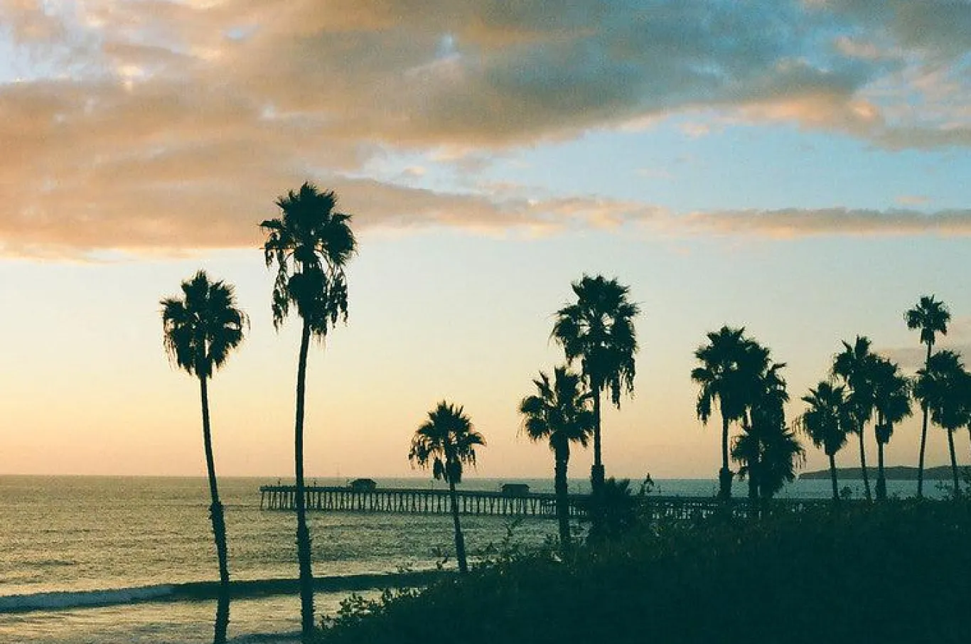 Canon AE-1 Program 35mm SLR Film Camera with Canon Prime Lens