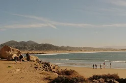 Canon AV 1 Vintage 35mm SLR Film Camera with Prime 50mm Lens