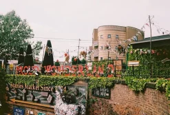 Canon AV 1 Vintage 35mm SLR Film Camera with Prime 50mm Lens