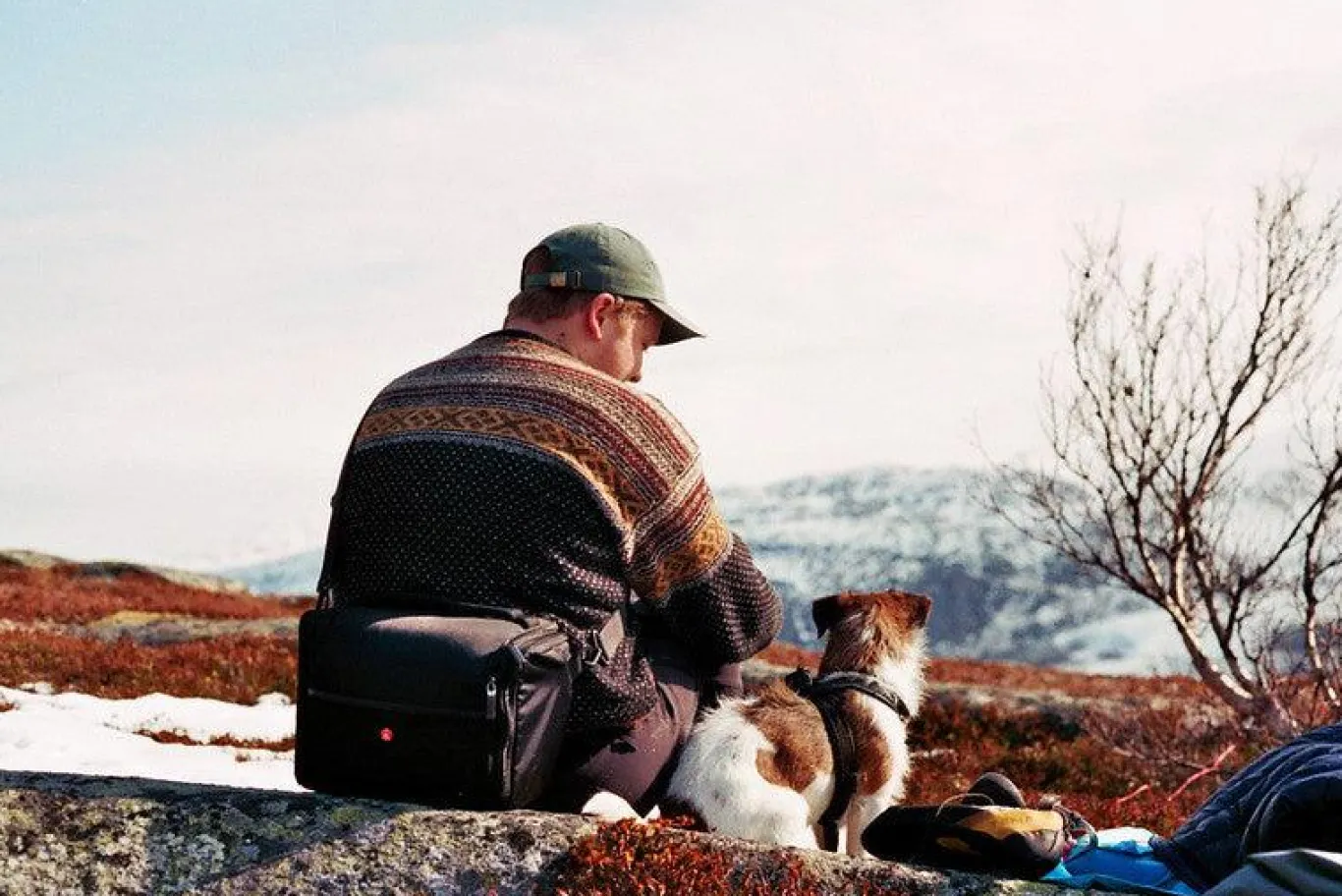 Canon AV 1 Vintage 35mm SLR Film Camera with Prime 50mm Lens