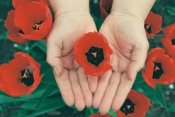 Canon EOS 300 35mm SLR Film Camera - Body Only