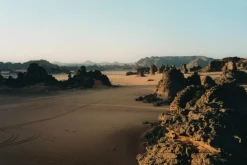 Canon EOS 5 35mm SLR Film Camera - Body Only