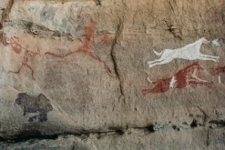 Canon EOS 5 35mm SLR Film Camera - Body Only