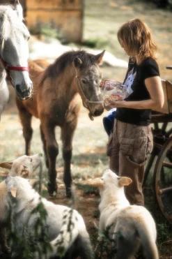 Canon EOS 300V 35mm SLR Film Camera - Body Only