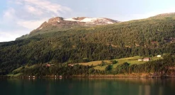 Canon Snappy LX 35mm Film Camera Point and Shoot