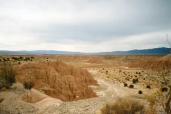 Canon Sure Shot A1 Waterproof 35mm Film Camera Point and Shoot