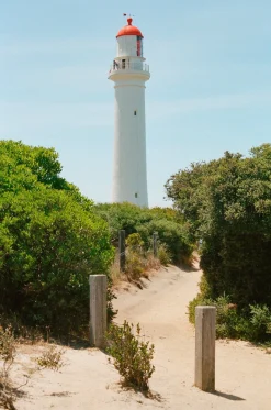 Canon Sure Shot AF-7 With Buttons 35mm Film Camera Point and Shoot