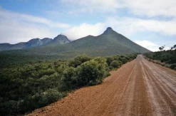 Canon Sure Shot AF35M II 35mm Film Camera Point and Shoot