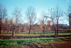 Canon Sure Shot Max 35mm Film Camera Point and Shoot