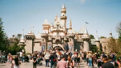 Canon Sure Shot Max 35mm Film Camera Point and Shoot