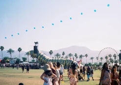 Canon Sure Shot Supreme 35mm Film Camera Point and Shoot