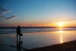 Canon Sure Shot Z135 35mm Film Camera Point and Shoot