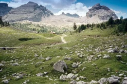 Contax T3 Titan Silver 35mm Film Camera Point & Shoot with 35mm f/2.8 Lens