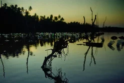 Expert Multi C 28mm f/2.8 Camera Lens