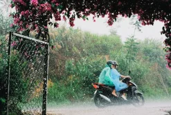 Flic Film Elektra 35mm Colour Film Bundle (Set of 3)