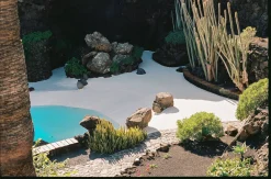 Fuji DL-150 35mm Point n Shoot Film Camera