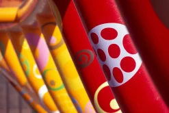 FujiChrome Professional Velvia 100 36 EXP 35mm Colour Film