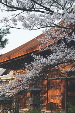 Fujifilm 400 35mm Colour Film - 36 Exposure