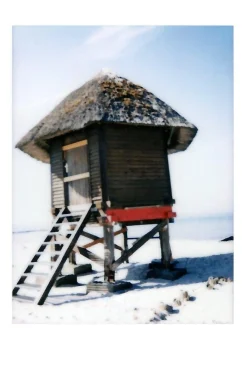 FujiFilm Instax Mini Colour Film 20 shots.