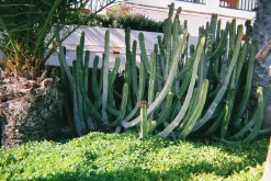 FujiFilm QuickSnap 35mm Disposable Colour Film Camera