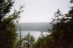 FujiFilm QuickSnap 35mm Disposable Colour Film Camera