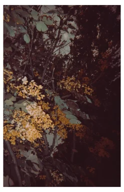 FujiFilm QuickSnap 35mm Disposable Colour Film Camera