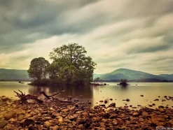 Hanimex 28mm f/2.8 Camera Lens