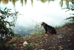 Itorex MC 28mm f/2.8 Camera Lens