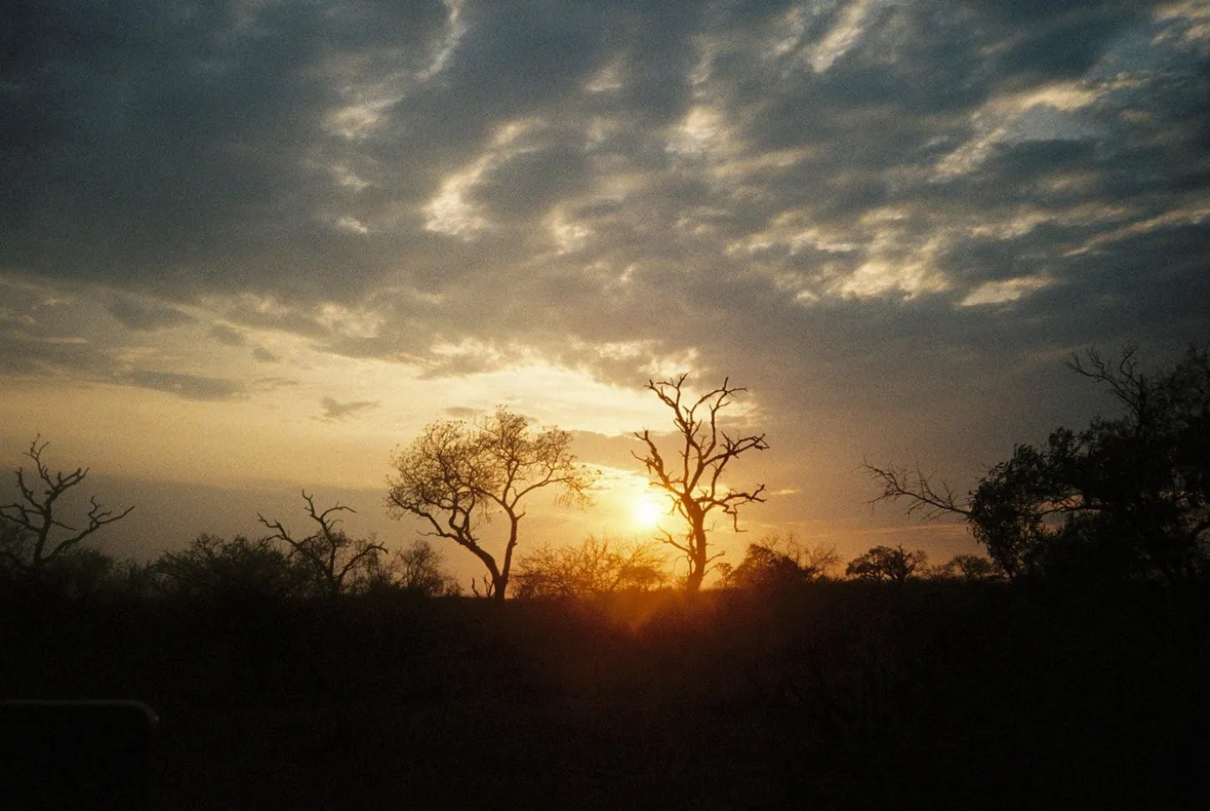 Kodak ColorPlus 36 EXP 200 35mm Colour Film for Camera