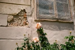 Kodak GOLD 200 24 Exposures 35mm Colour Film