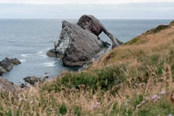 Kodak GOLD 200 24 Exposures 35mm Colour Film