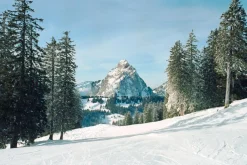 Konica Autoreflex T Vintage SLR 35mm Film Camera with Konica f/1.8 50mm Lens