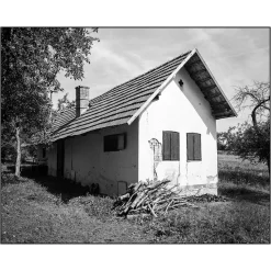 Leica AF-C1 35mm Point and Shoot Film Camera