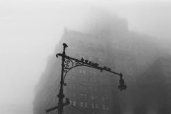 Lubitel 2 With 75mm F4.5 Lens. TLR 6X6 Medium Format Film Camera.