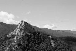 Lubitel 2 With 75mm F4.5 Lens. TLR 6X6 Medium Format Film Camera.