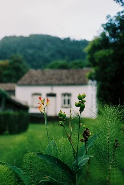 Mamiya DSX 1000 35mm Film Camera With Seekor 55mm f/1.4 Lens