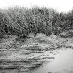 MicroCord England With 77mm F3.5 Lens. TLR 6X6 Medium Format Film Camera.