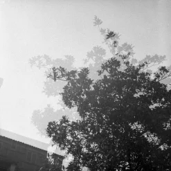 Minolta Autocord With 75mm F3.5 Lens. TLR 6X6 Medium Format Film Camera.