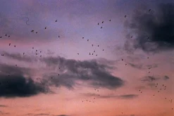 Minolta Dynax 8000i Automatic 35mm SLR Film Camera w/ Auto Zoom Lens