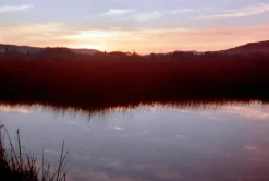 Minolta Dynax 3000i Automatic 35mm SLR Film Camera with Auto Zoom Lens