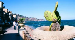 Minolta Dynax 303si AutomatIc SLR 35mm Film Camera with Auto Zoom Lens